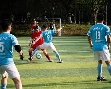 九游体育APP-板球夜战：闽南飞鹰队翻盘江汉犀牛队，临门一脚致胜。的简单介绍